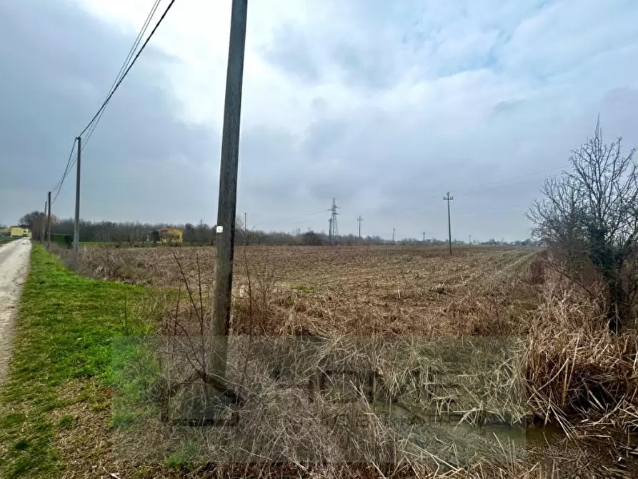 Immagine 4 di Terreno in vendita  in Via Lovolo a Rovolon