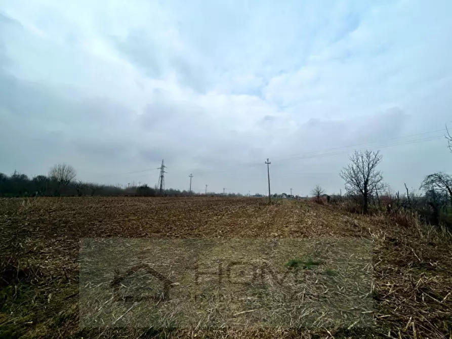 Immagine 5 di Terreno in vendita  in Via Lovolo a Rovolon