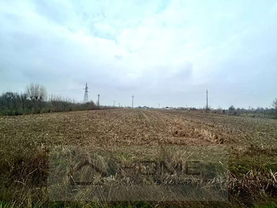 Immagine 6 di Terreno in vendita  in Via Lovolo a Rovolon
