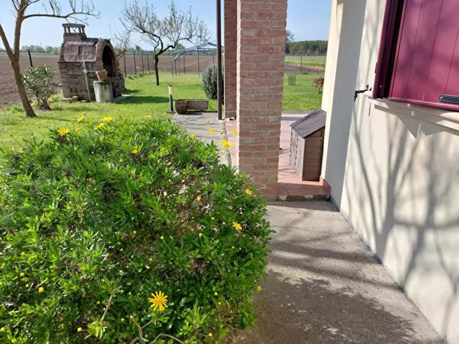 Immagine 20 di Villa in vendita  a Badia Polesine