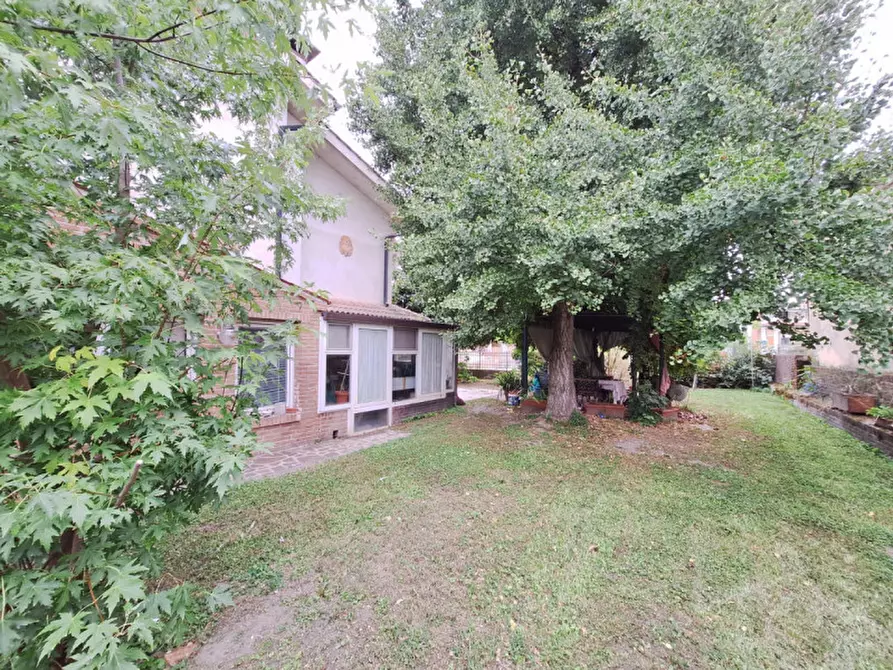 Immagine 31 di Casa indipendente in vendita  in Via Arginone di Cornè a Arqua' Polesine