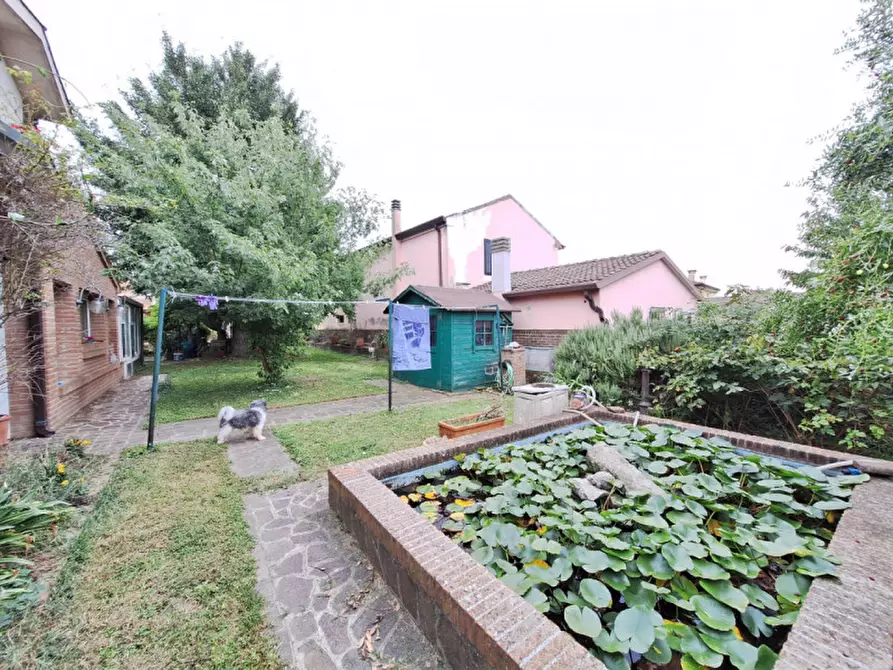 Immagine 32 di Casa indipendente in vendita  in Via Arginone di Cornè a Arqua' Polesine