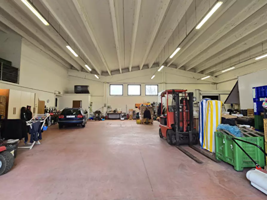 Immagine 1 di Capannone industriale in vendita  in viale del lavoro a Solesino