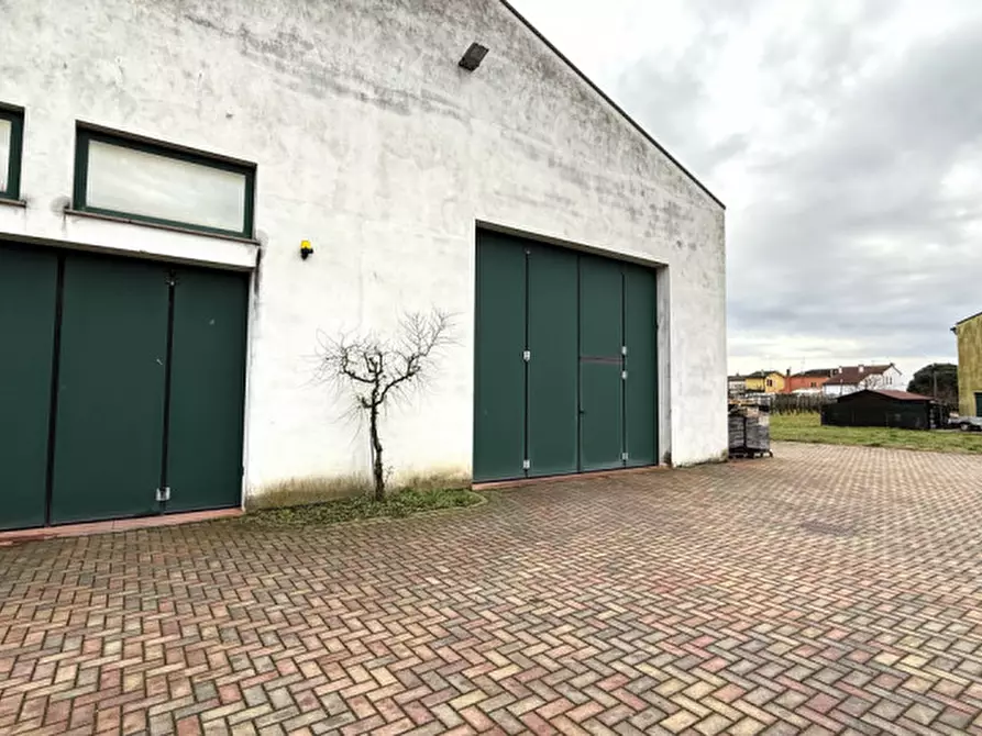Immagine 2 di Capannone industriale in vendita  in viale del lavoro a Solesino