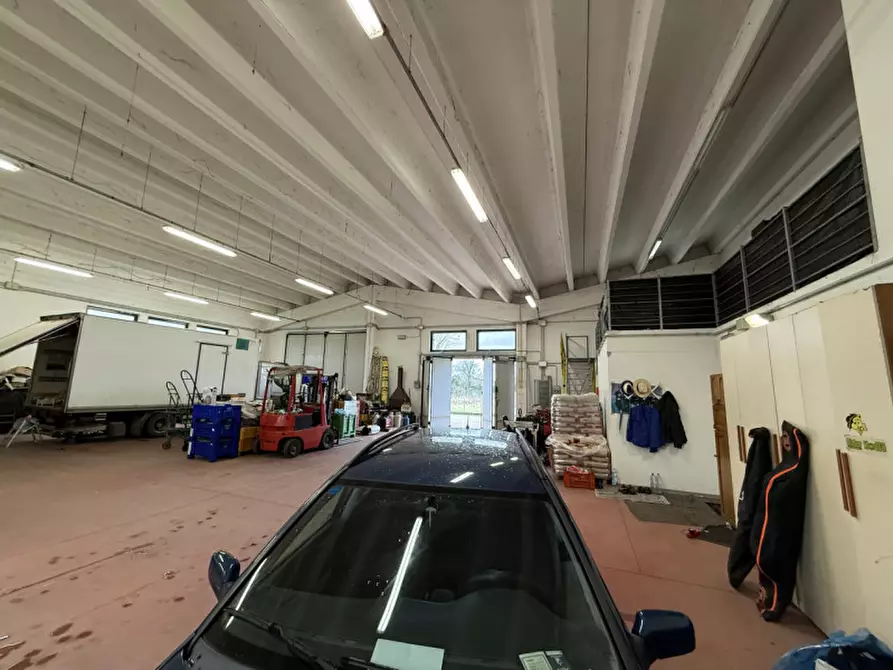 Immagine 3 di Capannone industriale in vendita  in viale del lavoro a Solesino