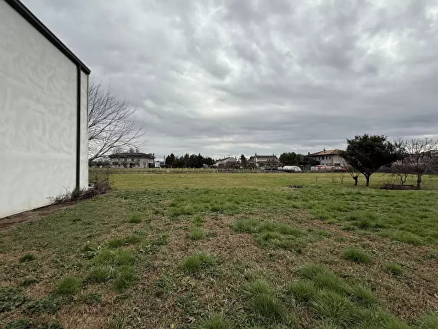 Immagine 5 di Capannone industriale in vendita  in viale del lavoro a Solesino