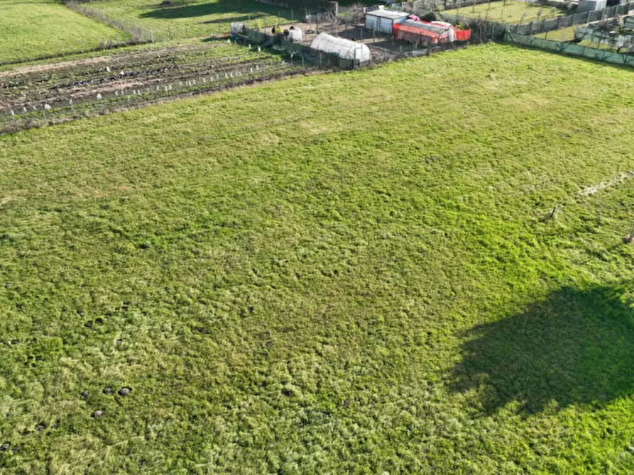 Immagine 7 di Capannone industriale in vendita  in viale del lavoro a Solesino