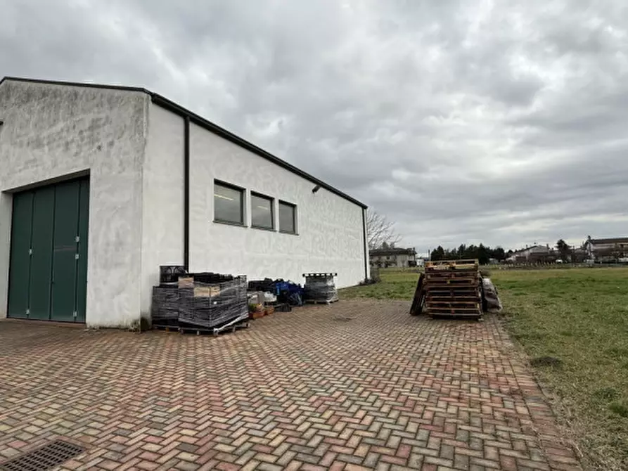 Immagine 9 di Capannone industriale in vendita  in viale del lavoro a Solesino
