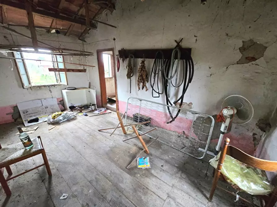 Immagine 9 di Casa indipendente in vendita  in Codevigo a Codevigo