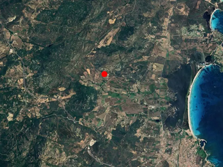 Immagine 9 di Terreno in vendita  in SC L'uttaru Pisanu, N. snc a San Teodoro
