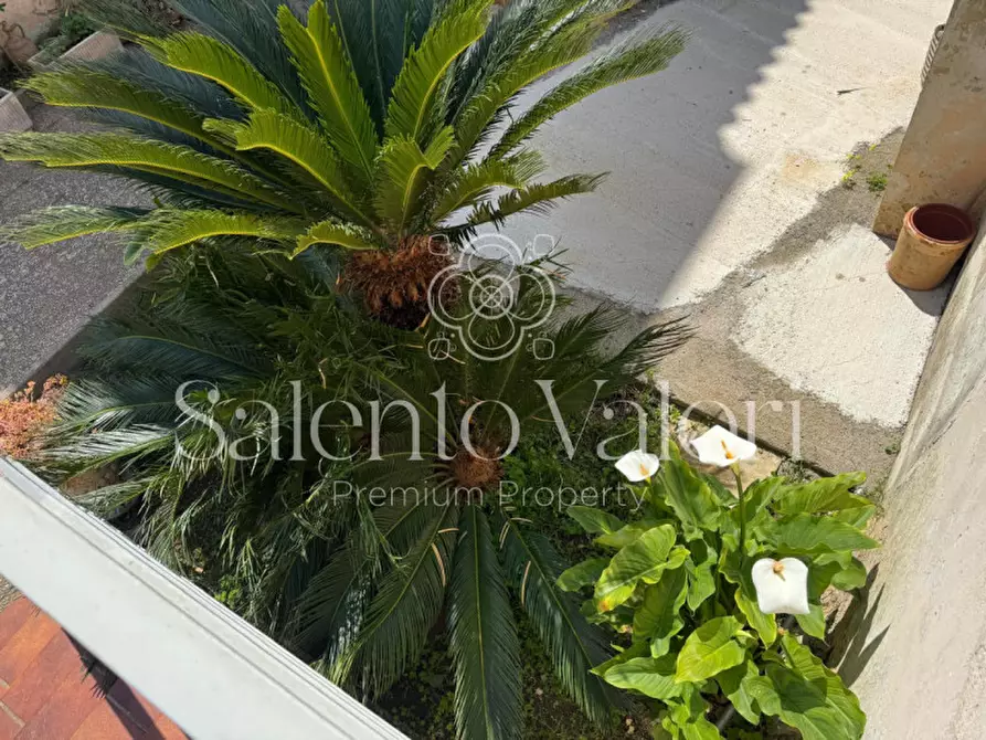 Immagine 29 di Casa indipendente in vendita  in Via Principe di Piemonte 76 a Collepasso