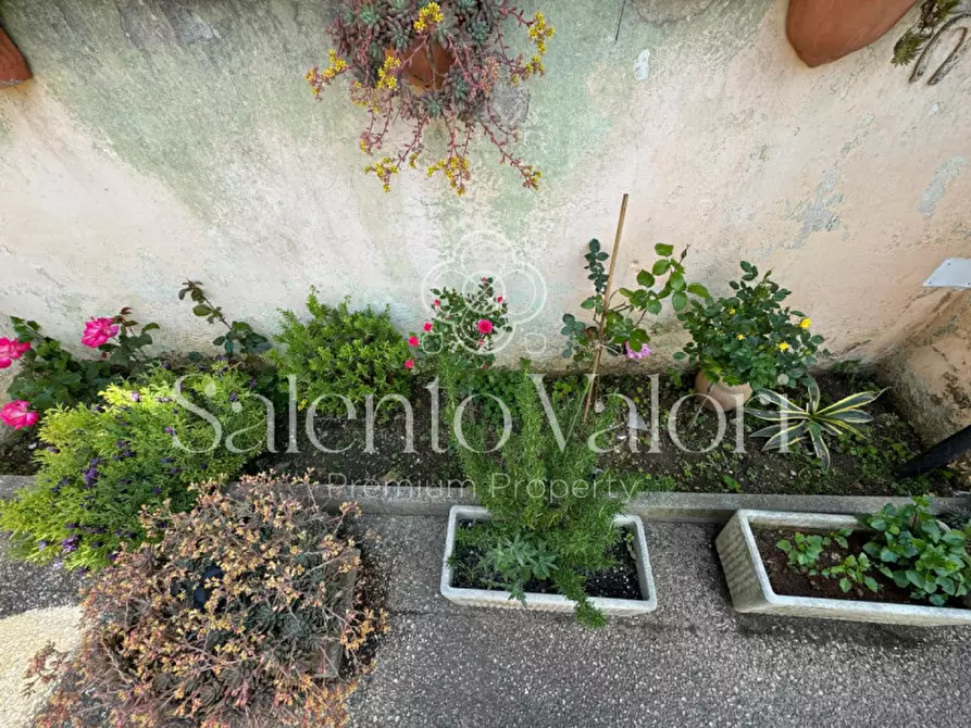 Immagine 44 di Casa indipendente in vendita  in Via Principe di Piemonte 76 a Collepasso