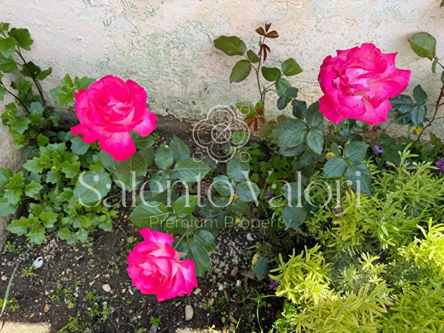 Immagine 46 di Casa indipendente in vendita  in Via Principe di Piemonte 76 a Collepasso