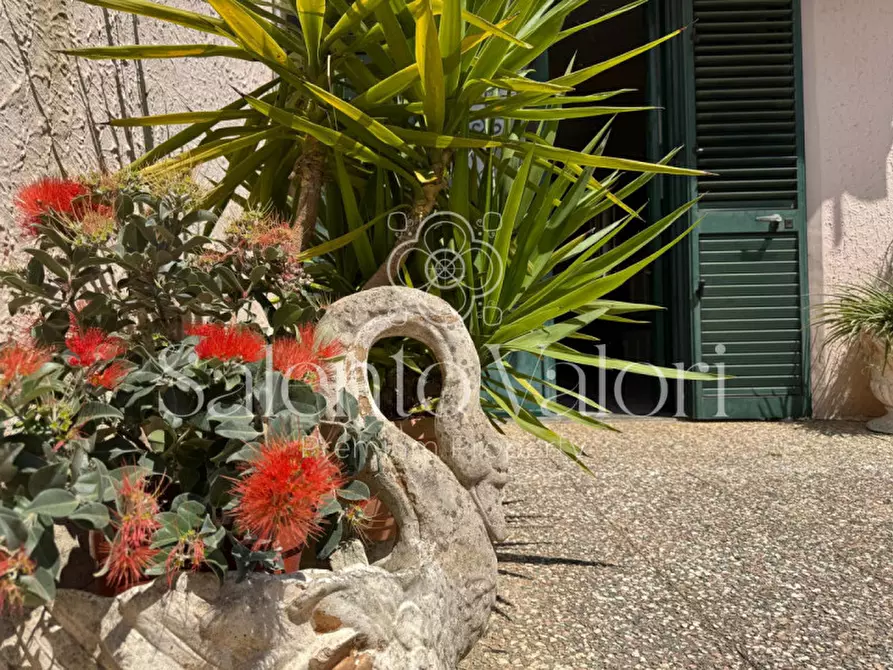 Immagine 47 di Casa indipendente in vendita  in Via Principe di Piemonte 76 a Collepasso