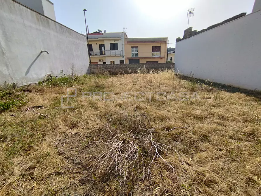 Immagine 3 di Terreno in vendita  in vai Vittorio Alfieri a Supersano