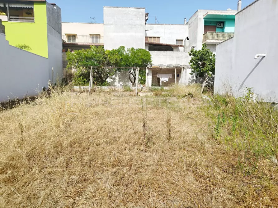 Immagine 5 di Terreno in vendita  in vai Vittorio Alfieri a Supersano