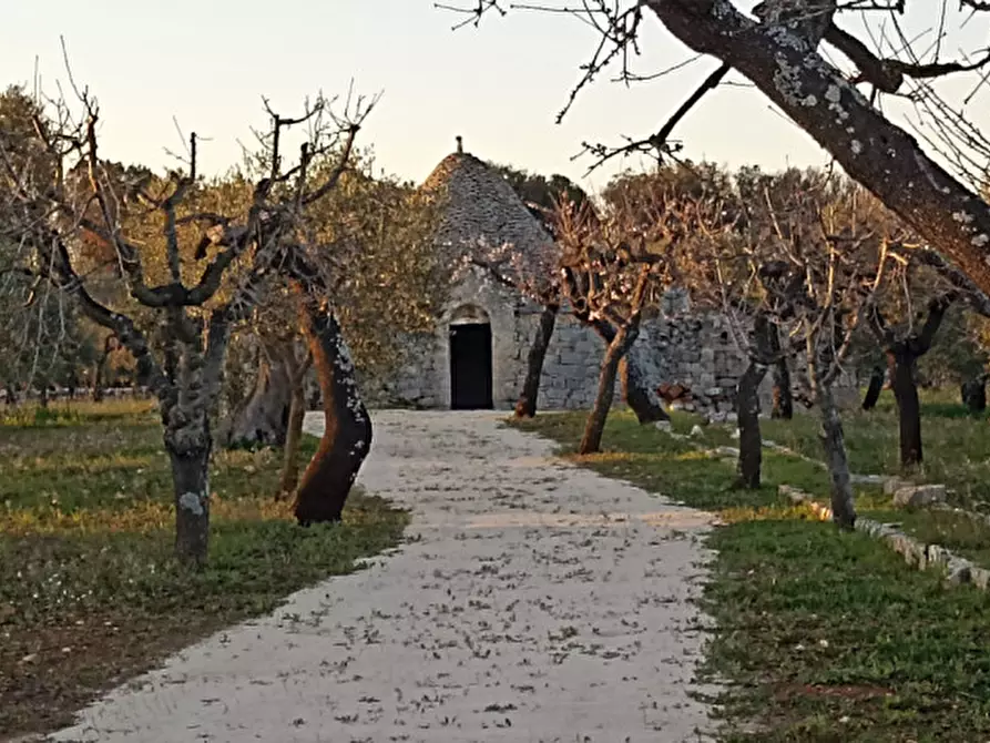 Immagine 2 di Rustico / casale in vendita  a Castellana Grotte