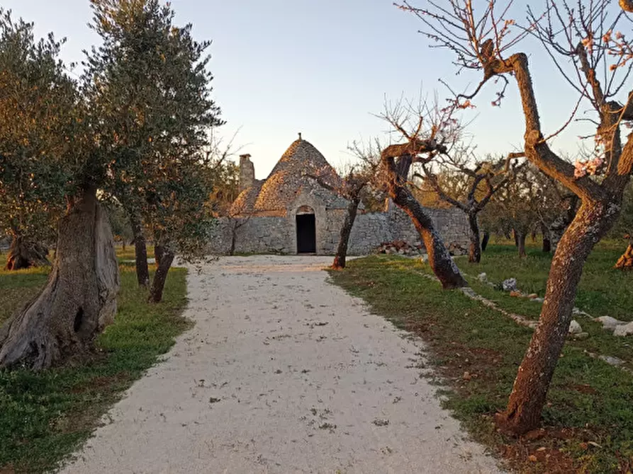 Immagine 3 di Rustico / casale in vendita  a Castellana Grotte