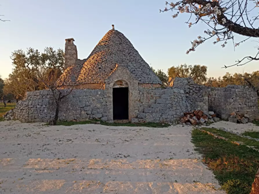 Immagine 4 di Rustico / casale in vendita  a Castellana Grotte