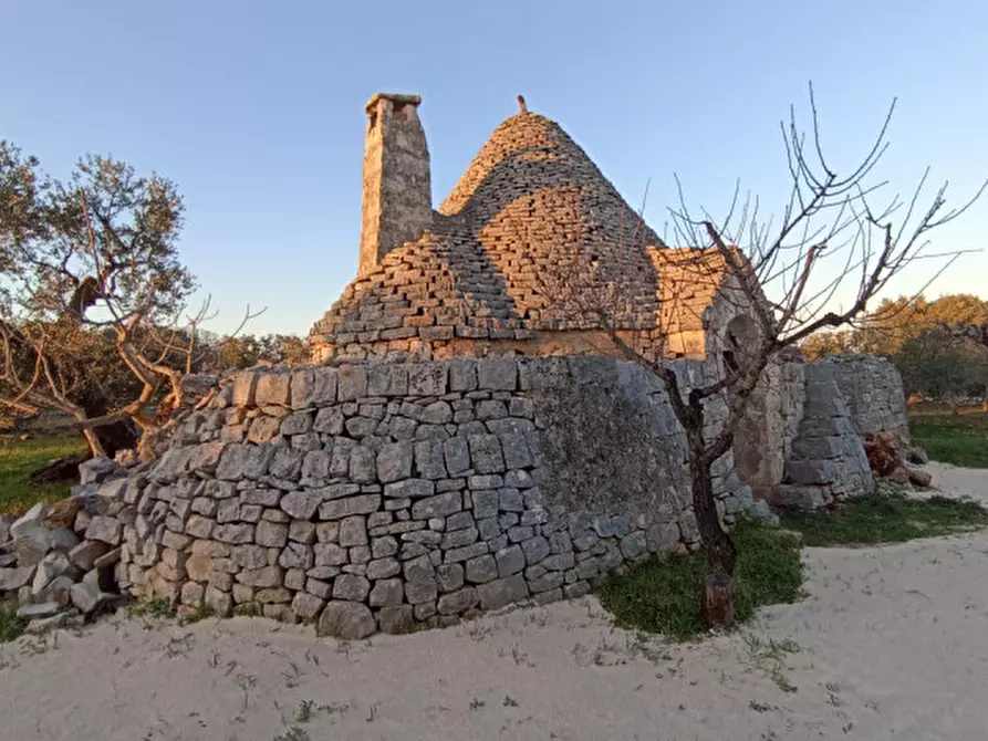Immagine 5 di Rustico / casale in vendita  a Castellana Grotte