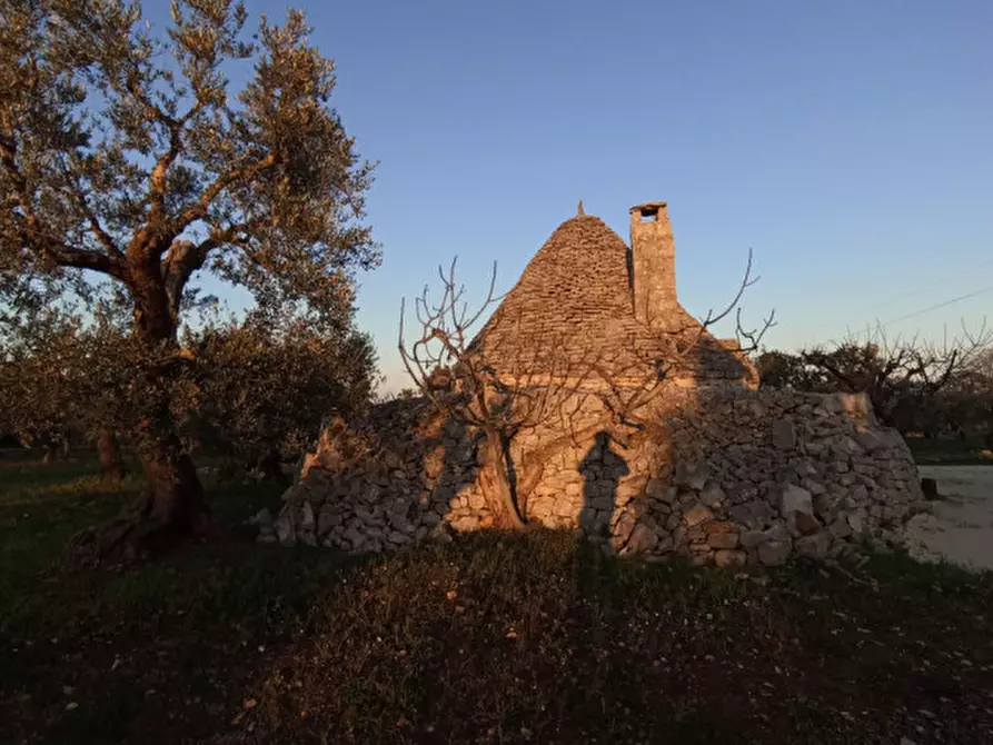 Immagine 6 di Rustico / casale in vendita  a Castellana Grotte