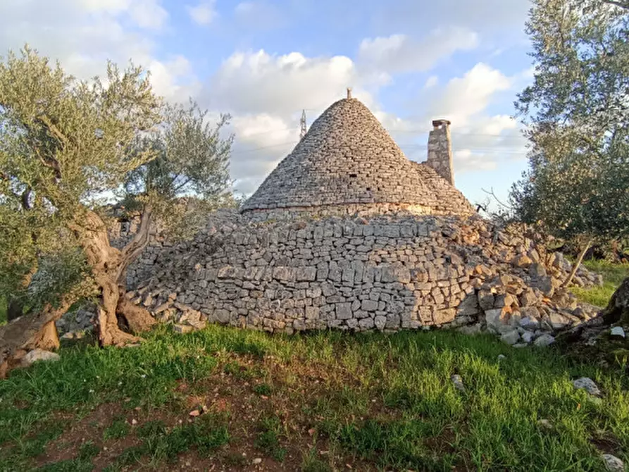 Immagine 7 di Rustico / casale in vendita  a Castellana Grotte