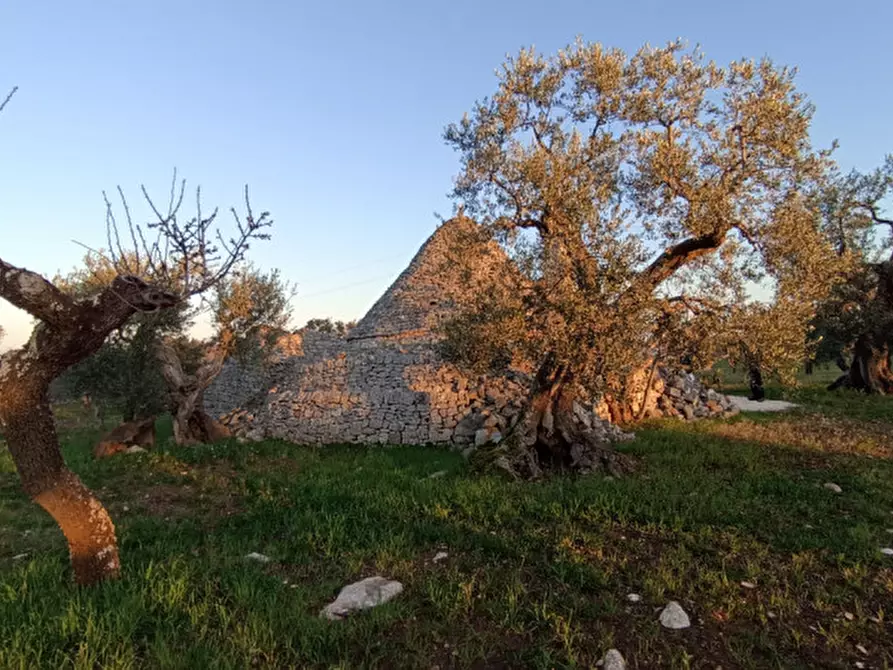 Immagine 9 di Rustico / casale in vendita  a Castellana Grotte