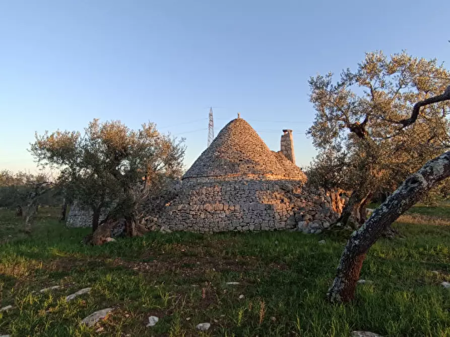 Immagine 10 di Rustico / casale in vendita  a Castellana Grotte