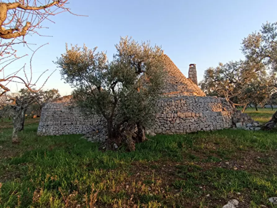 Immagine 11 di Rustico / casale in vendita  a Castellana Grotte