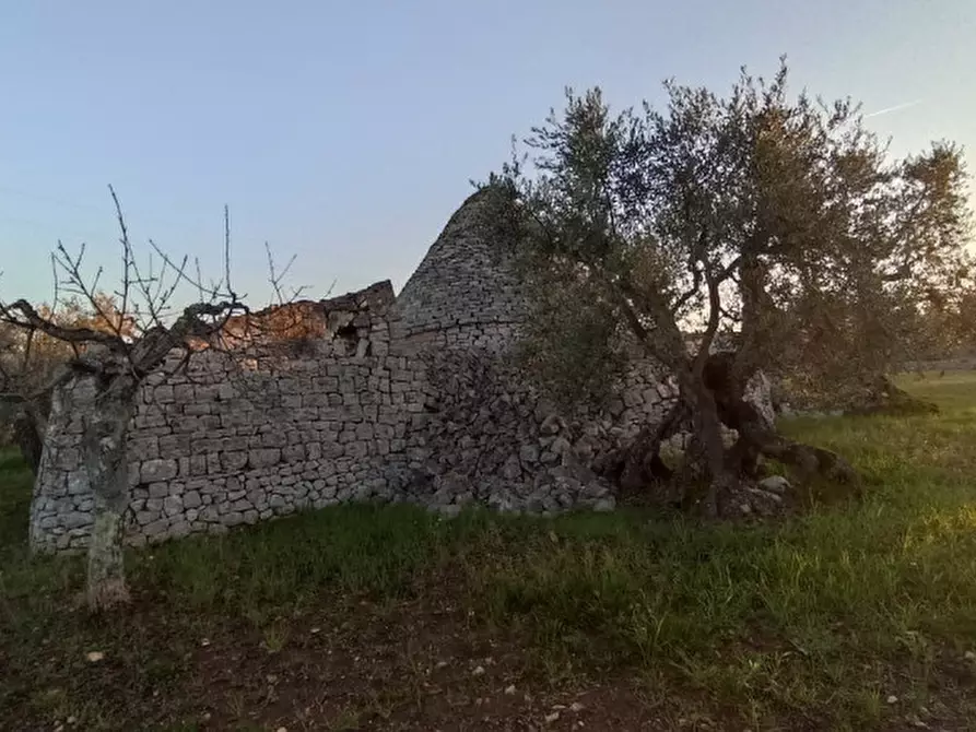 Immagine 12 di Rustico / casale in vendita  a Castellana Grotte
