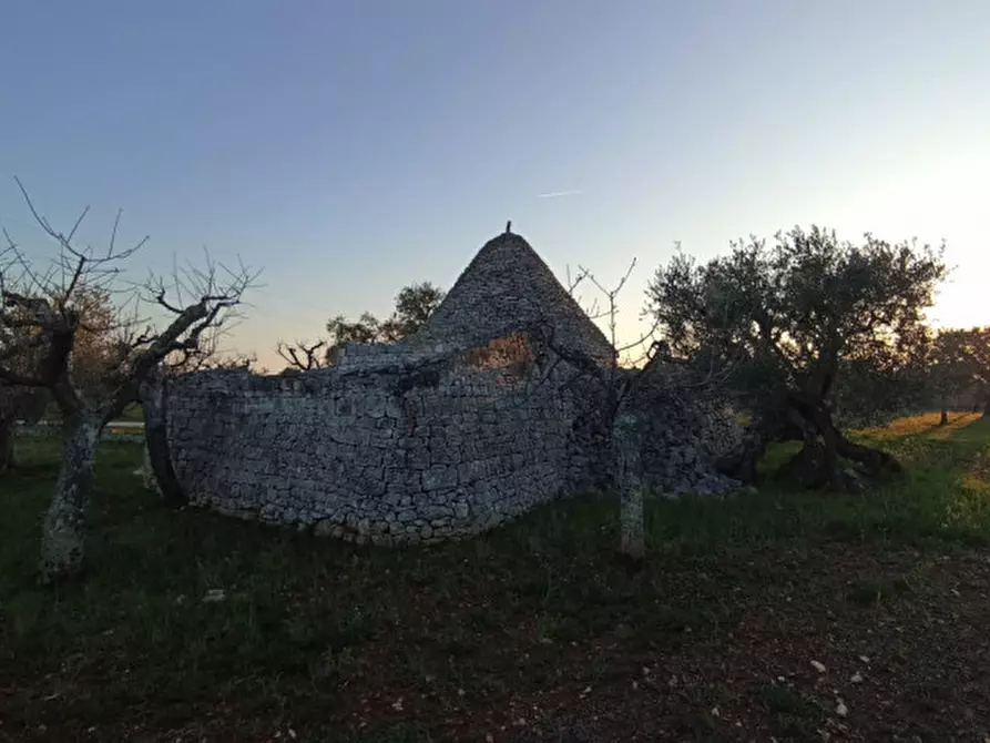 Immagine 13 di Rustico / casale in vendita  a Castellana Grotte
