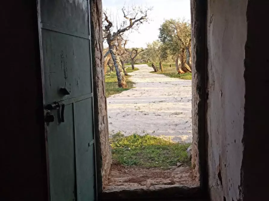 Immagine 18 di Rustico / casale in vendita  a Castellana Grotte