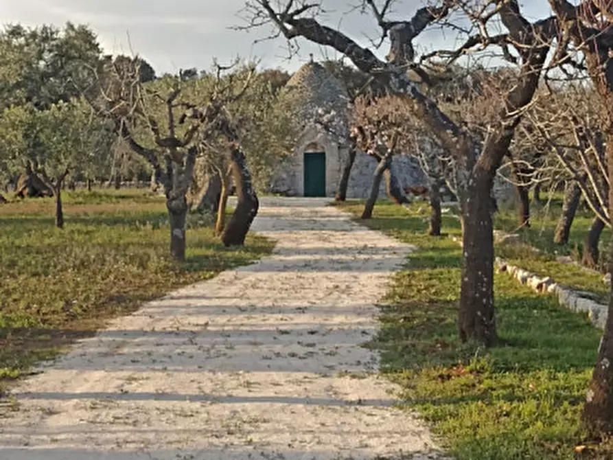 Immagine 19 di Rustico / casale in vendita  a Castellana Grotte