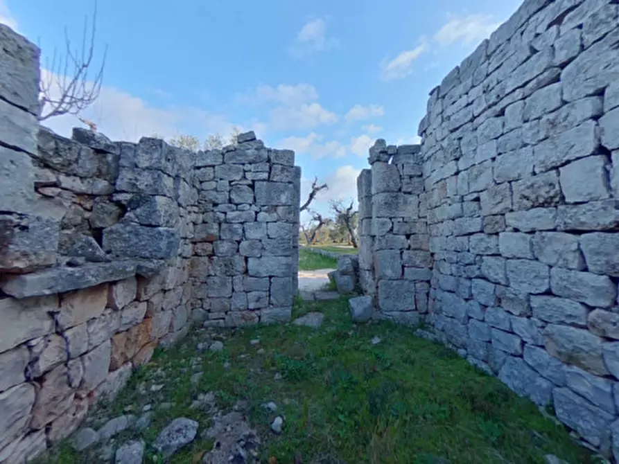 Immagine 27 di Rustico / casale in vendita  a Castellana Grotte