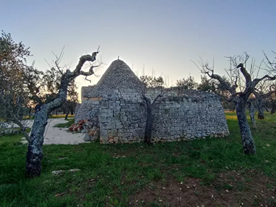 Immagine 30 di Rustico / casale in vendita  a Castellana Grotte