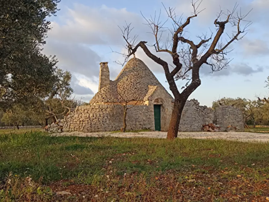 Immagine 34 di Rustico / casale in vendita  a Castellana Grotte