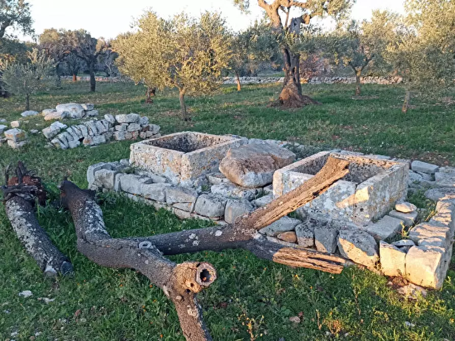 Immagine 36 di Rustico / casale in vendita  a Castellana Grotte