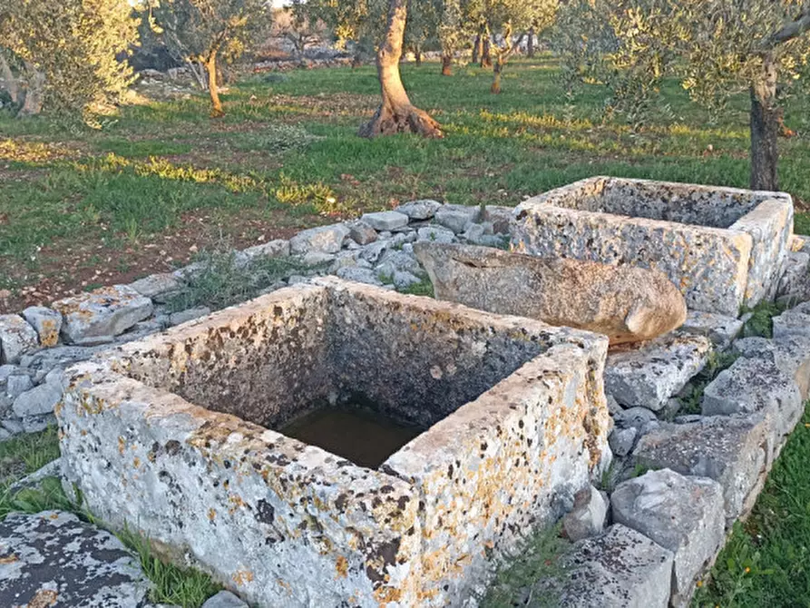 Immagine 37 di Rustico / casale in vendita  a Castellana Grotte