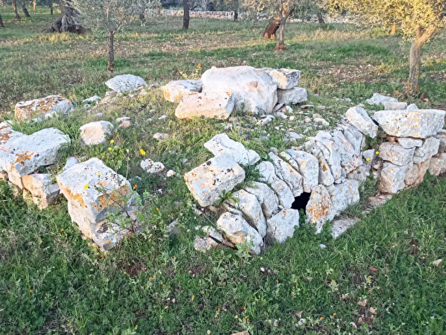 Immagine 38 di Rustico / casale in vendita  a Castellana Grotte