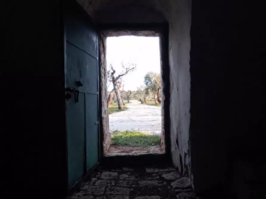 Immagine 40 di Rustico / casale in vendita  a Castellana Grotte