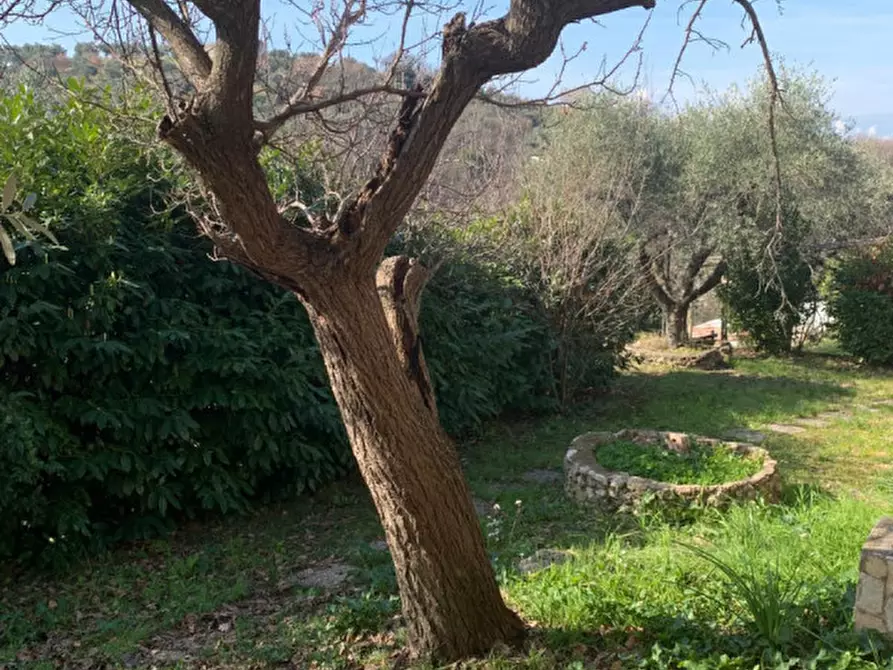 Immagine 54 di Villa in vendita  a Palombara Sabina