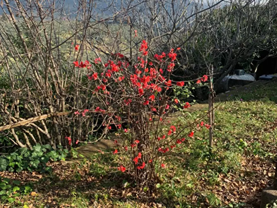 Immagine 55 di Villa in vendita  a Palombara Sabina