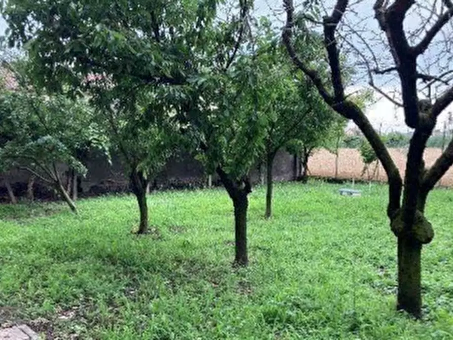 Immagine 53 di Palazzo in vendita  in VIA CAPITELLO 622 a Castagnaro