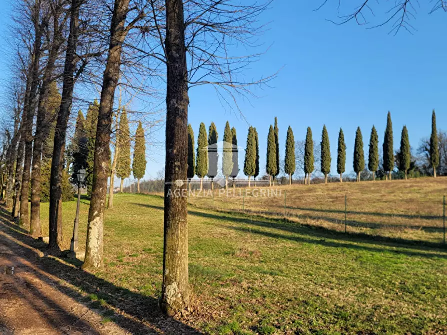 Immagine 19 di Villa in affitto  in Via Breganzola a Arcugnano