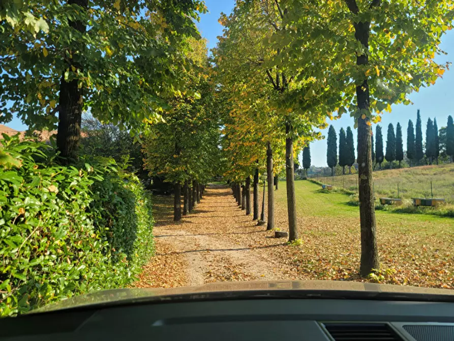 Immagine 35 di Villa in affitto  in NOGARAZZA a Arcugnano