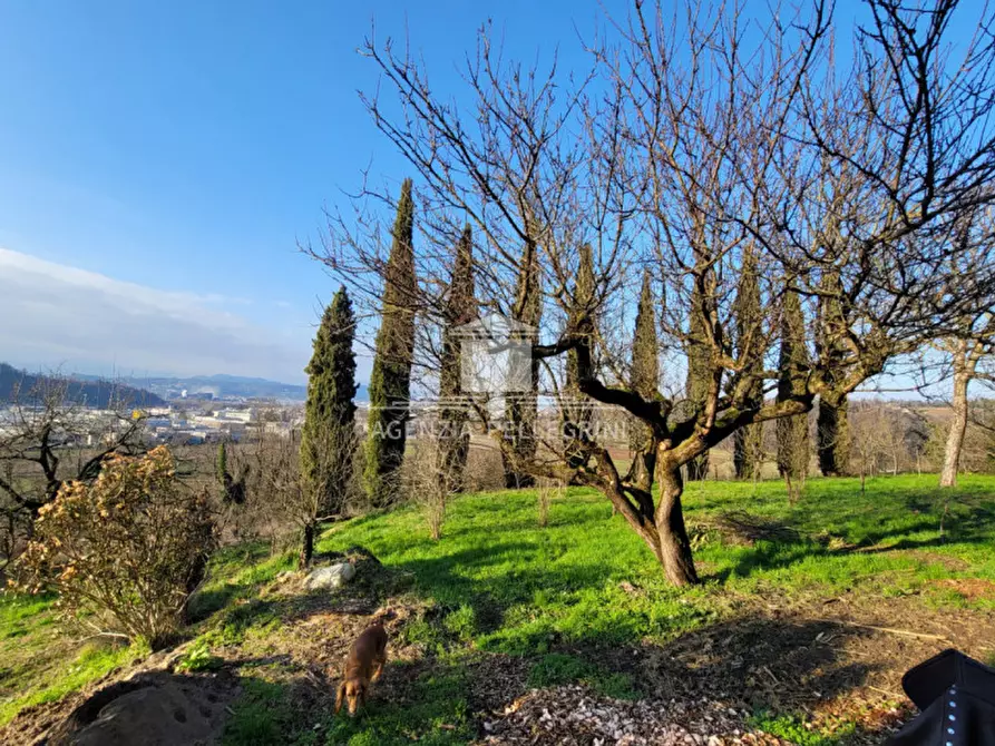 Immagine 37 di Villa in affitto  in Via Breganzola a Arcugnano