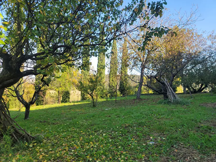 Immagine 44 di Villa in affitto  in Via Breganzola a Arcugnano