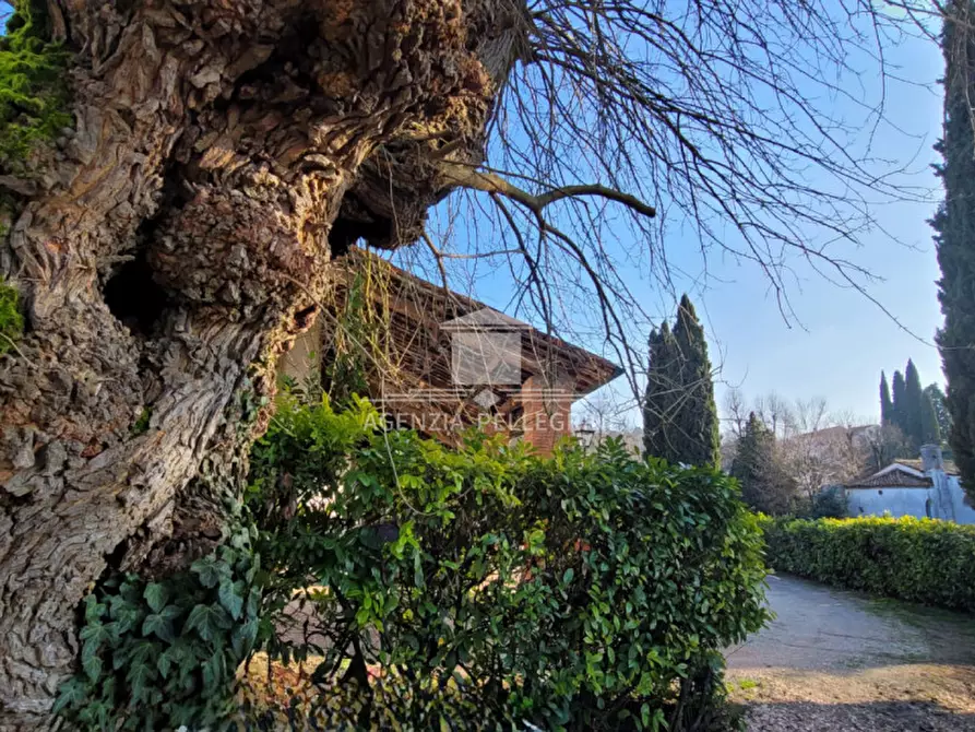 Immagine 52 di Villa in affitto  in Via Breganzola a Arcugnano