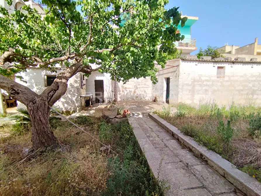 Immagine 7 di Casa indipendente in vendita  in via Vittorio Alfieri a Supersano