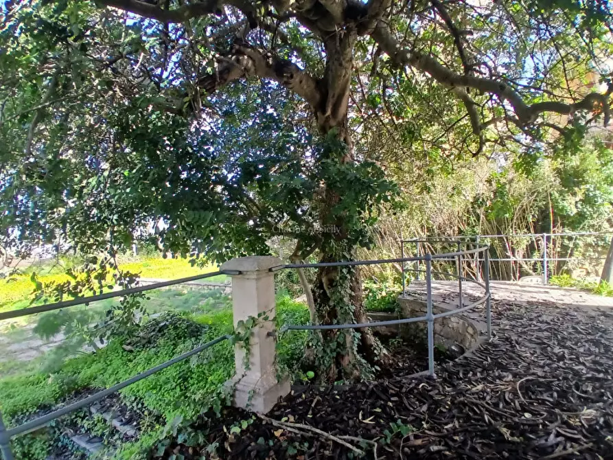 Immagine 45 di Casa indipendente in vendita  in Via Provinciale Rocciola Scrofani a Modica